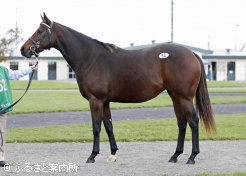 高額第5位ラーヴァレイク