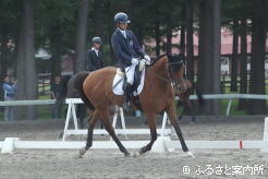 2位に入賞したサトノルークス