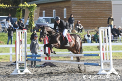 障碍飛越競技に出場したウインマーレライ