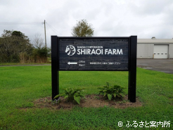 日本競馬史にその名を残す、数々の名馬を送りだしてきた