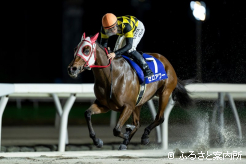 女王サンオークレアを半馬身抑えて先頭ゴールイン