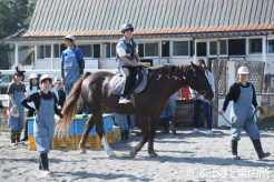体験乗馬を楽しむひだかうまキッズ探検隊