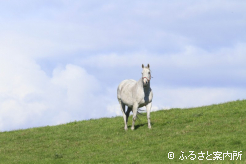 写真5 [白馬かな]