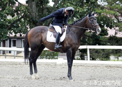 注目を集めたゴールデンシックスティ