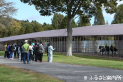 坂路でのトレーニングを見学