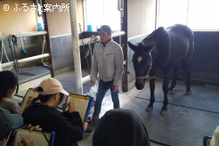 馬について学ぶ厚賀小学校6年生