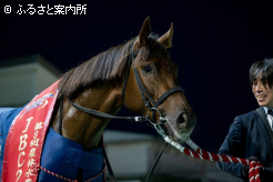 新馬～重賞という離れ業をやってのけた