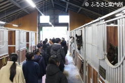JBBA静内種馬場の新しい厩舎を見学