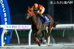 2着馬に1馬身差をつけて楽々とゴールした