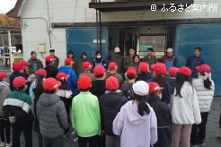 北海道静内農業高等学校での馬の授業