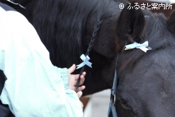 三つ編みを編んでウマとのふれあいを楽しんだ