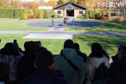 13頭の種牡馬が展示されたバスツアー