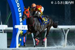 今日もまた独走でゴールを駆け抜けた