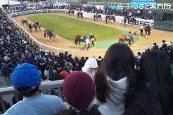 パドックからJBC2歳優駿(Jpn3)の出走馬をチェック