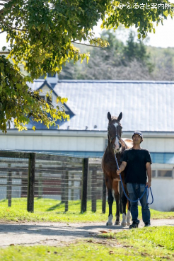 わがままな面は影を潜め、今では扱い易い馬になったという