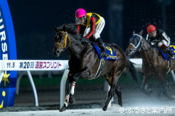 堂々抜け出して史上3頭目に道営スプリント連覇を成し遂げたスペシャルエックス