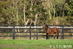 次世代のスプリント界を引っ張る存在として期待されている