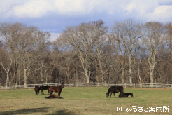 写真3 [秋の終わり]