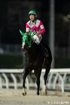 デビューからの連勝を「4」としたリュウノフライト