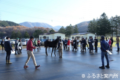 日高や胆振管内から100人以上が参加した