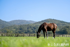 日高地方にも、もう間もなく冬の便りが届く