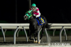 完璧なレース運びでJRA勢を完封した