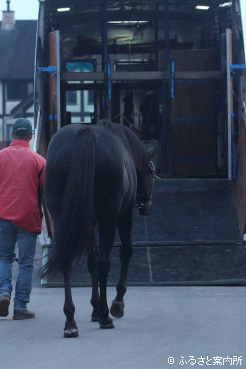 今後はYogiboヴェルサイユリゾートファームで余生を送る