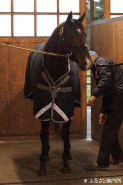 元気な姿でアロースタッドに到着した