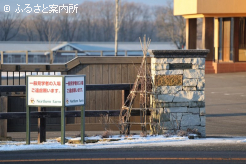 今年の中央での勝利数が過去最高を更新した