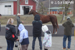 スタッドインには近隣の生産者も駆け付けた