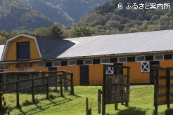 丸幸小林牧場本場の厩舎