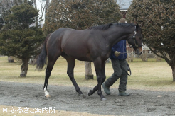元気な姿で新天地に到着した