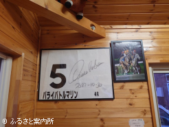 パライバトルマリンは現在、繁殖牝馬となっている