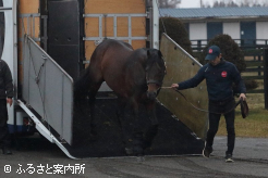 ロードカナロアの後継として期待は大きい