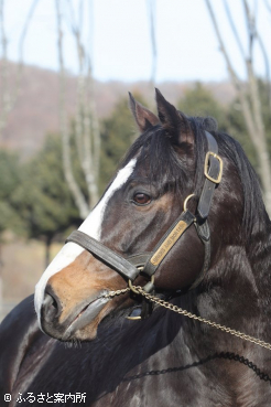 新天地に移動したブリックスアンドモルタル