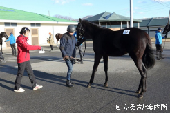 研修生は展示方法について指導を受けた