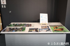 写真集やカレンダー、クリアファイルも発売されている