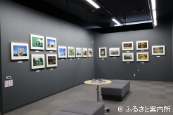 国民的なスターホースとなったオグリキャップの写真も展示されている