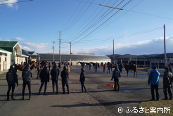 視察研修はJRA育成馬展示会と同じ形で実施