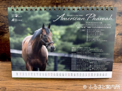 ビジュアルカレンダー正面