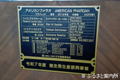 血統表には所縁のあるエンパイアメーカーの名も