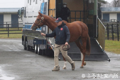 元気な姿でアロースタッドに到着した