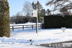 12月に入ってから、一気に降雪が増えた
