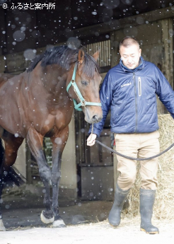 引き締まった表情が印象に残る