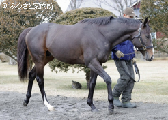 ソウルラッシュ