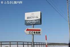 ホーエリートのように休養馬の調整も行っている