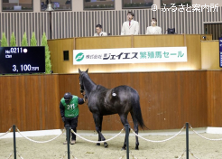 ピカリ落札シーン