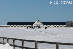 放牧地は雪で覆われていた