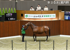 ロールオブアームズ落札シーン