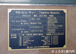 馬房の前には完成したばかりのプレートが設置されていた